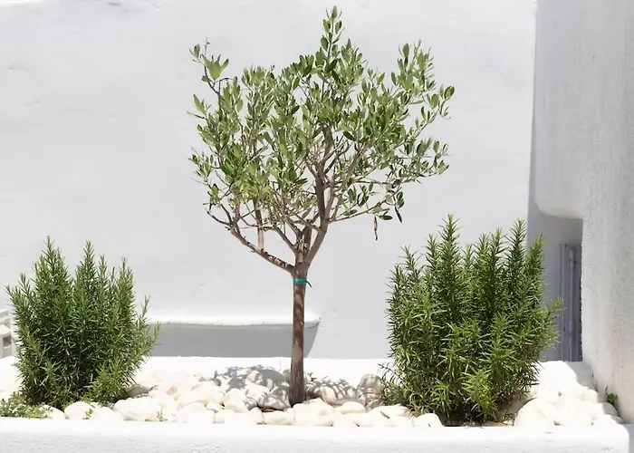 Swell S1 Maisonette In Naousa